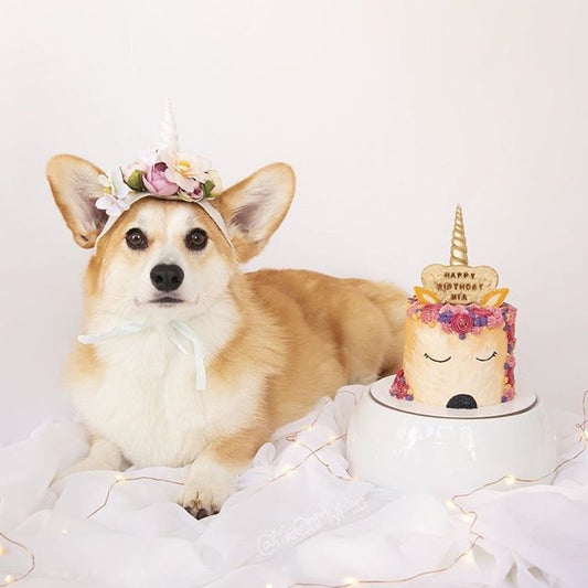 Dog Unicorn Cake