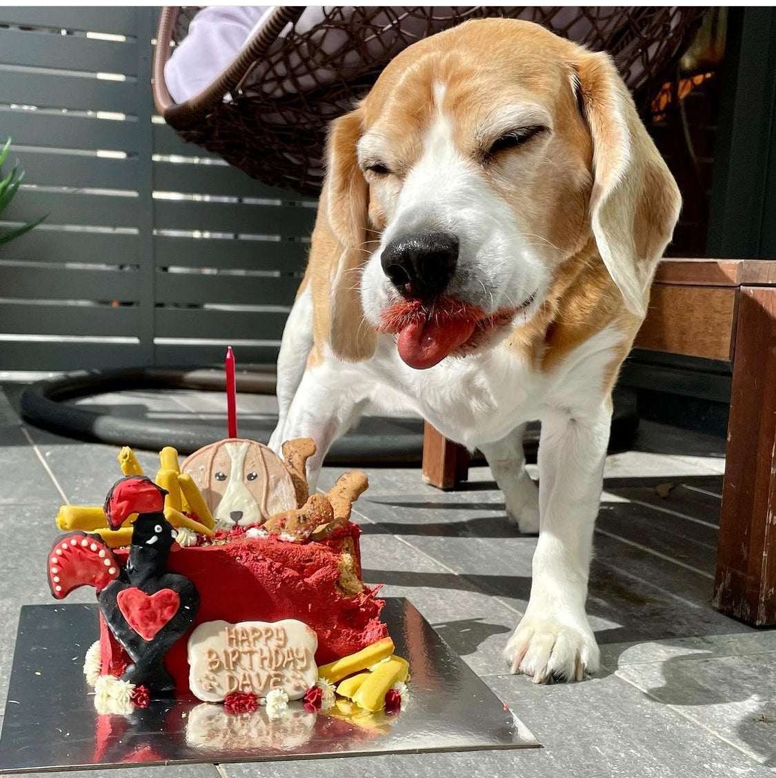 Enquire about a Custom Dog Cake