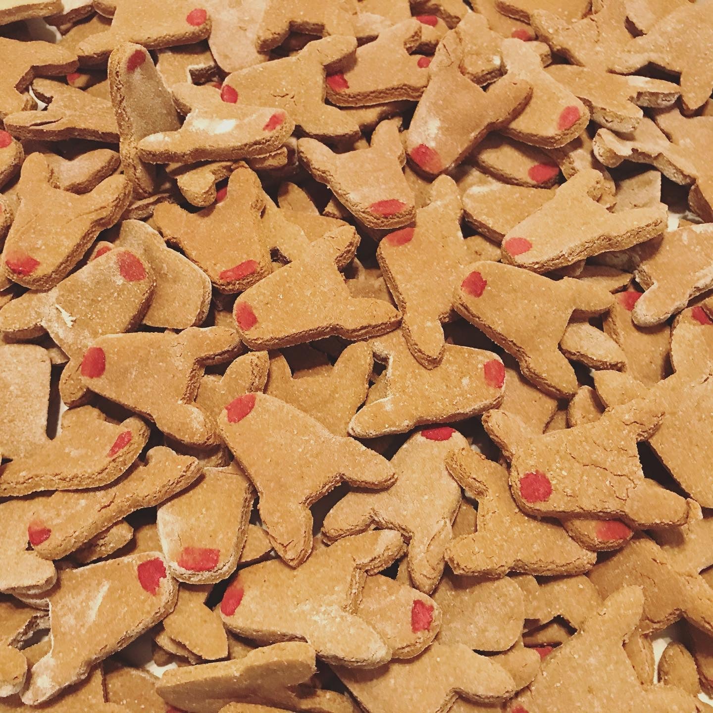 The Red Nosed Willow - Dog Gingerbread