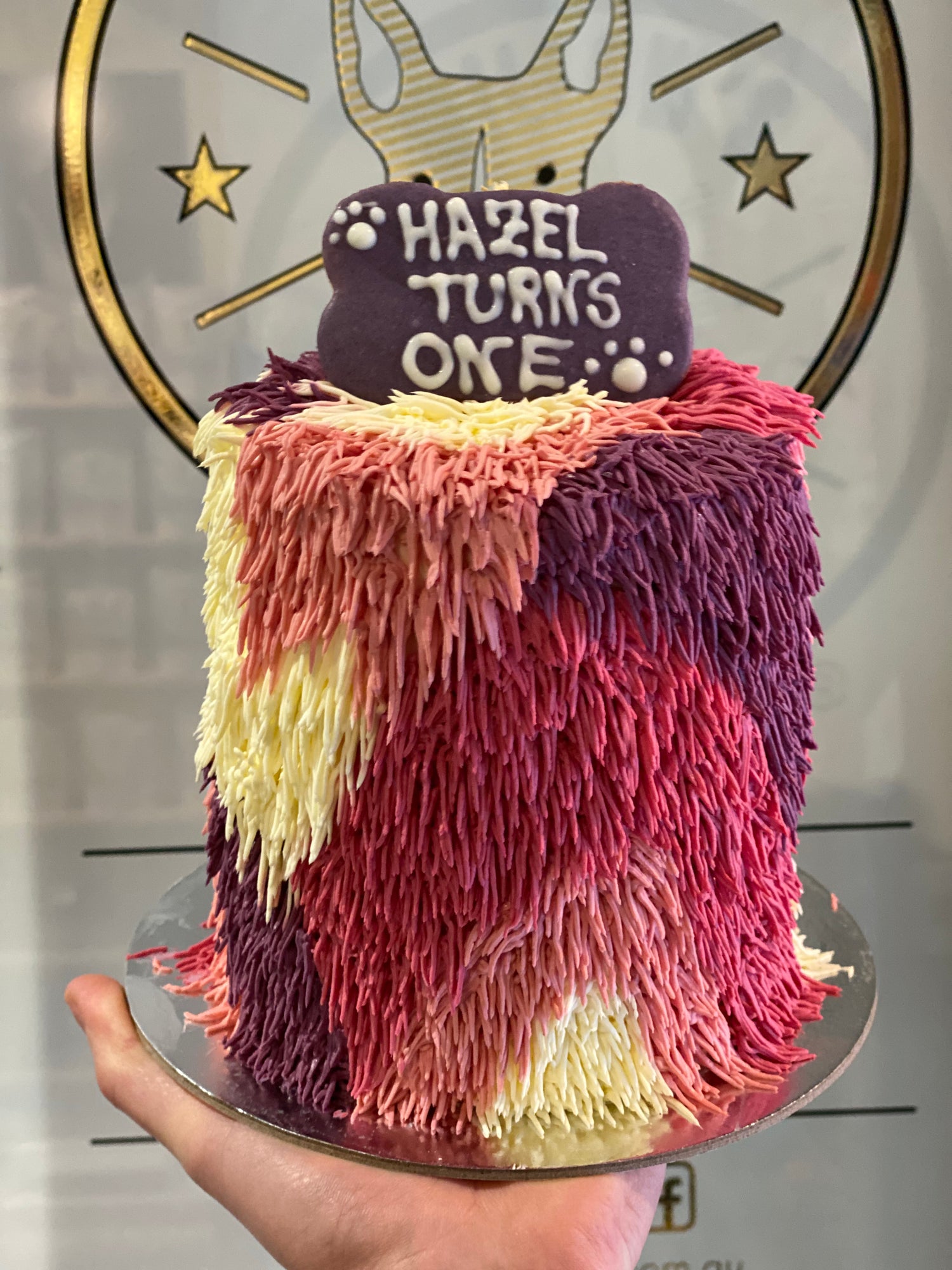 Shaggy sales dog cake