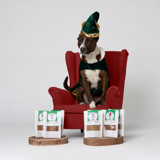 The Red Nosed Willow - Dog Gingerbread