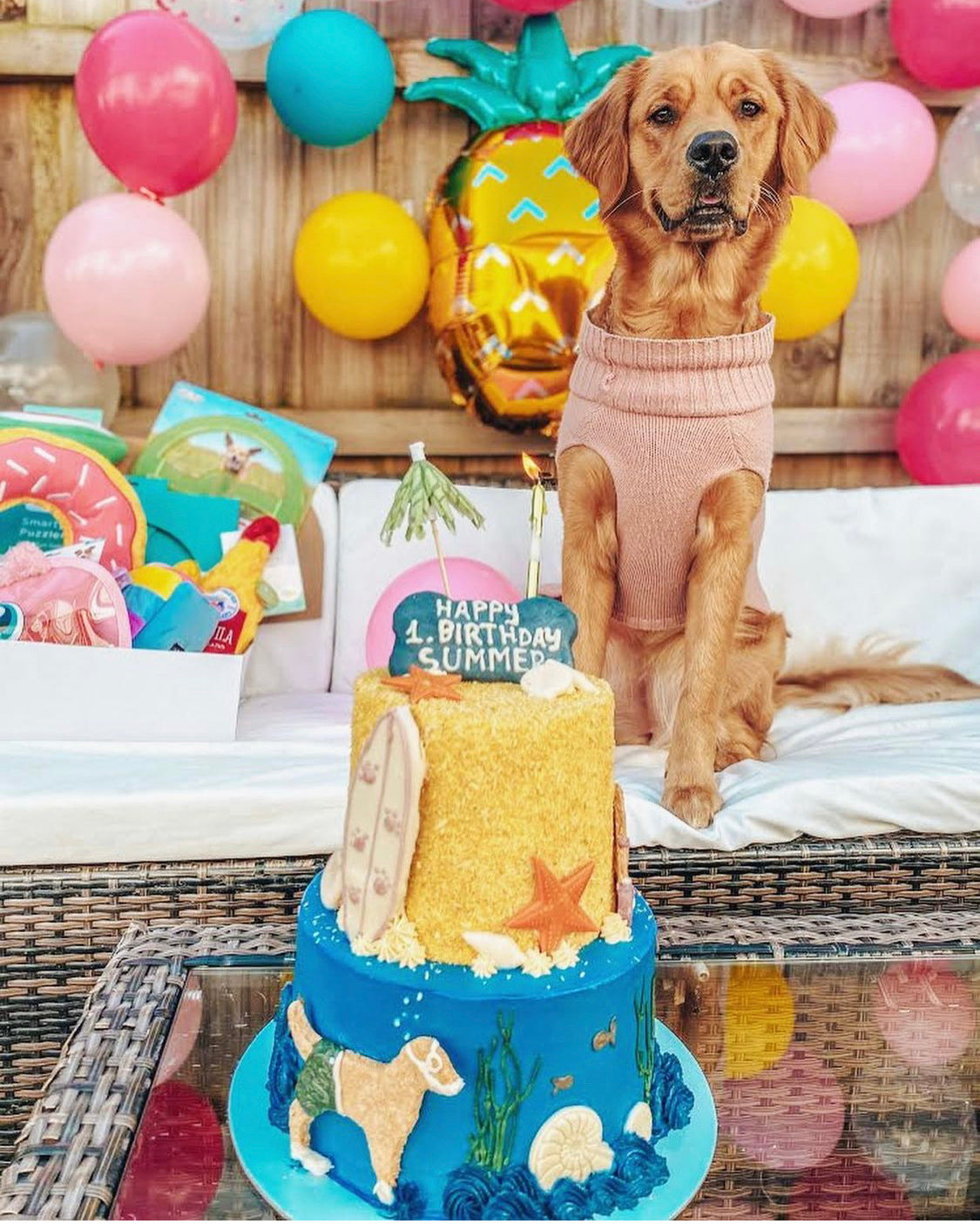 Enquire about a Custom Dog Cake