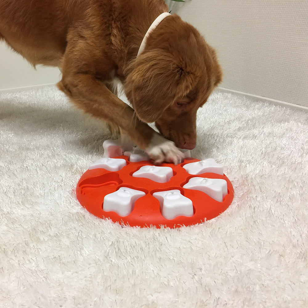 Dog Smart Enrichment Puzzle Level 1